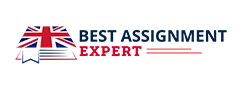 Best Assignment Expert