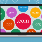What is Domain Name ?